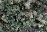 Purple and Green Botryoidal Grape Agate - Indonesia #324236-1